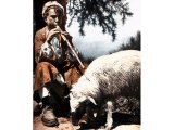 This shepherd boy pipes to his flock, playing tunes from a tube with punched fingerholes. An early photograph.